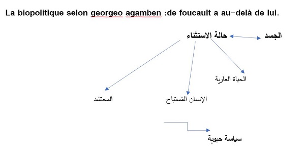 1647 iman