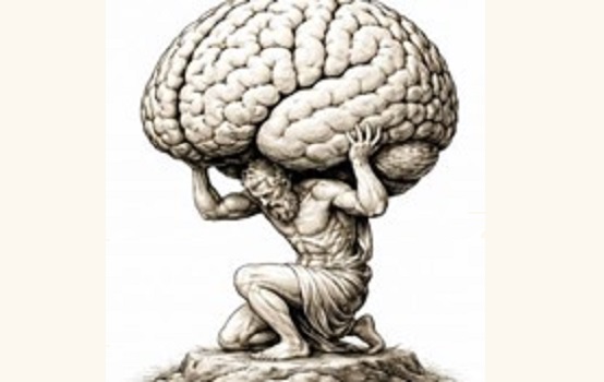 عبء الذكاء للكاتب جون نوستا