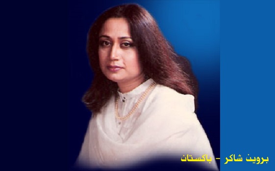 بروين شاكر: يسعدني أن أظل فراشة