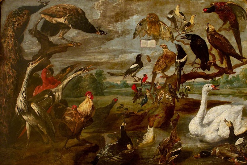 Snyders, Frans; A Concert of Birds (I); National Trust, Petworth House; http://www.artuk.org/artworks/a-concert-of-birds-i-219706