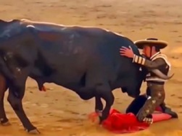 3007 bullfighting