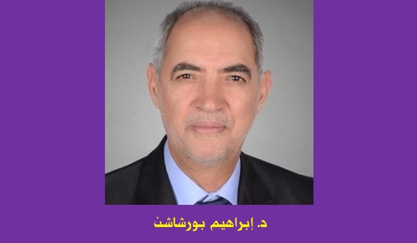 إبراهيم بورشاشن: عن المواطنة الإجرائية